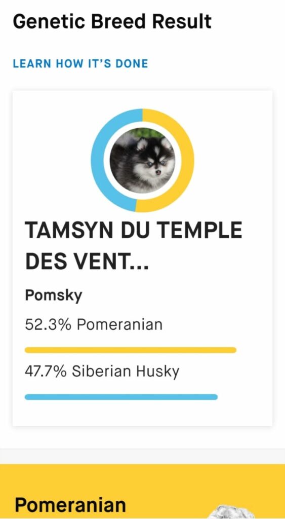 WhatsApp Image 2024-08-8